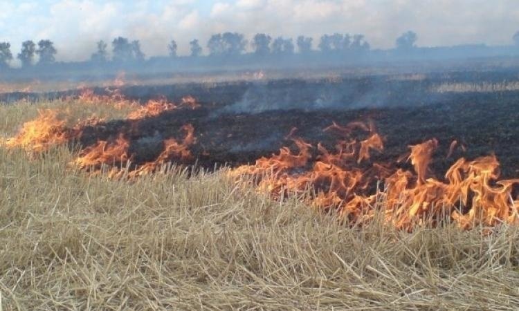 Возгорание сухой растительности в с.п.Яндаре.